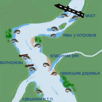 Сом риболов от брега, избора на място, справяне и стръв