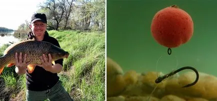 Улов шаран с топчета рецепти, оборудване за риболов (риболов) Улов шаран с топчета рецепти, рибарски принадлежности