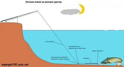 Сом риболов от брега, избора на място, справяне и стръв
