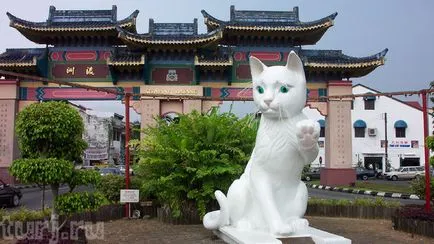 Малайзия, Борнео, Музей Саравак и паметници Котки Котки Котки в Куа (40 снимки)