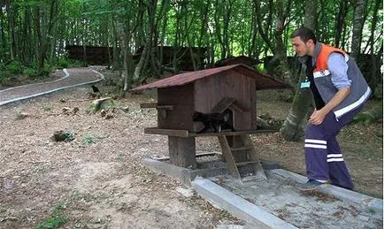 Един малък град построен само за ... бездомни котки! (Град) Един малък град построен само за ... бездомни котки!