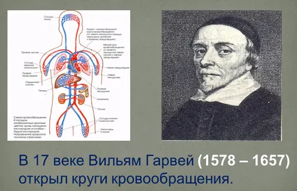 Малки и големи обръщение