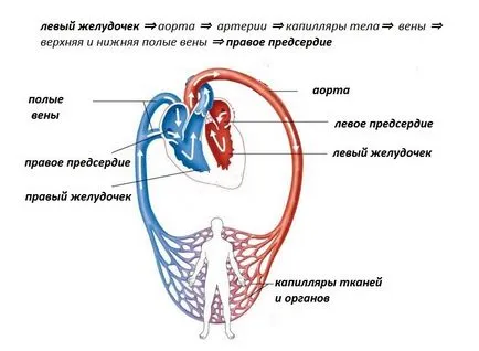 Малки и големи обръщение