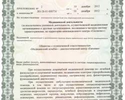 Медицински център - Юджийн - в Благовешченск