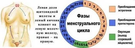 Месечен съсирена