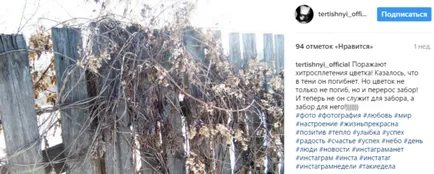 Май Абрикосов сега - което е след приключване на проекта и как да живеят бившите Party House 2 Информация Снимки (след) Май Абрикосов сега - което е след приключване на проекта и как да живеят бившата партия House 2 подробности снимката