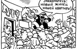 Моите документи, документите ми, колко бързо да направят документите
