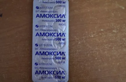 Възможно ли е да се даде амоксицилин към котки, котката и котката