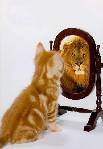 Wise фрази за любовта и живота