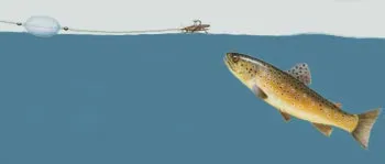 Какво риба