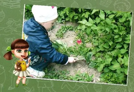 Наблюдение на природата - разходка на чист въздух с използването на