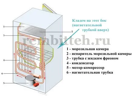 Дали това е възможно да се транспортират в хладилника 8 лежи правилни регулации транспортни rembytteh