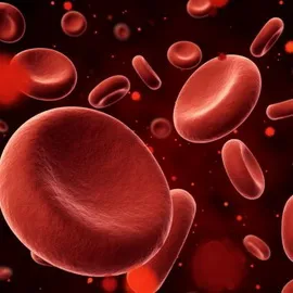 Нарушенията на развитието на червените кръвни физиология кръвни нарушения, причинява смущения на кръвоносната система, и (физиология) Нарушенията на развитието на червените кръвни физиология кръвни нарушения, причинява заболявания на кръвоносната система и