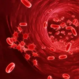 Нарушенията на физиологията кръв развитие червени кръвни нарушения, причините за заболявания на кръвоносната система и (патология) Нарушенията на развитието на червените кръвни физиология кръвни нарушения, причинява заболявания на кръвоносната система и