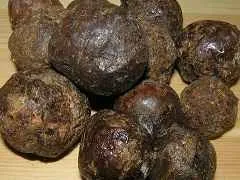 Тинктура от прополис - прополис пречиствателни приложение
