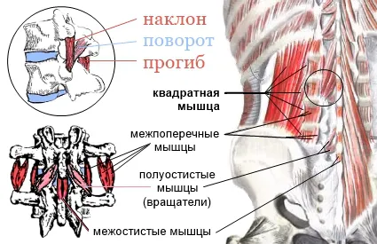 Наука танци в петите, а bailar!