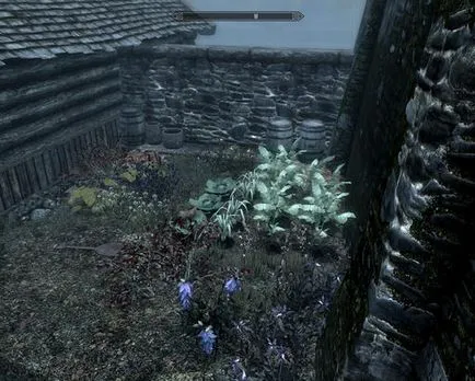 Недвижими имоти в играта - Elder Scrolls V Skyrim г. - играта