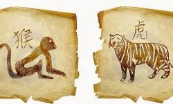 Monkey и заек съвместимост в любовта, брака хороскоп