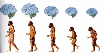 Ape и първите древните хора