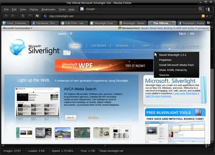 Преглед на Microsoft Silverlight