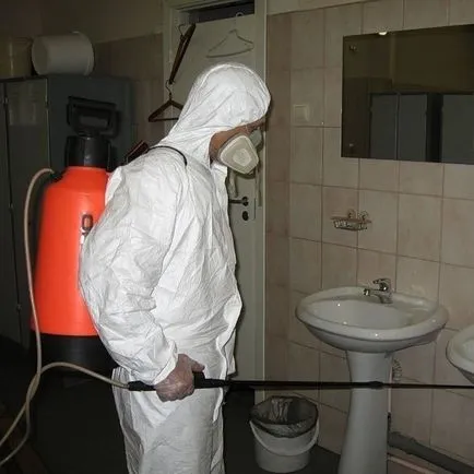 Алопеция, ток, окончателен, профилактична дезинфекция означава, гол, когато се гледа
