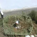 Да направим детска градина зони, озеленяване