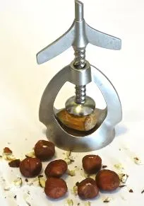 Лешник - ползи и вреди