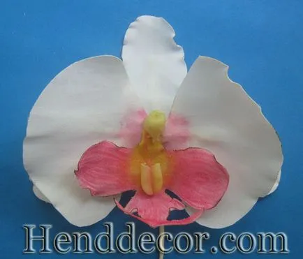 Orchid плат - декорация калейдоскоп