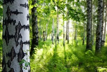 Характеристики на лечение на методи бреза SAP и препоръки