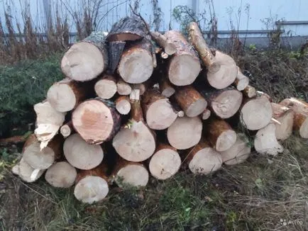 Особено при избора на дърво - добър съвети и препоръки