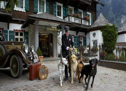 Хотели за домашни любимци