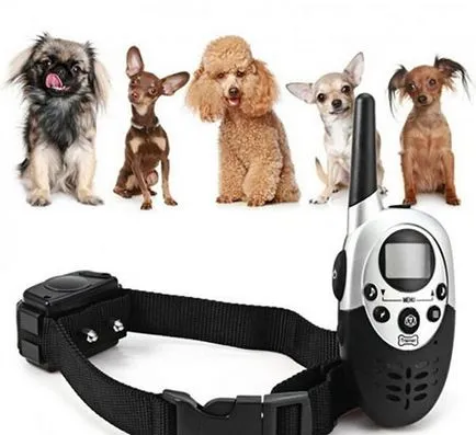 Отучим куче кора яка с Antila - dogcollar - боеприпаси и аксесоари за кучета (куче) Отучим куче кора яка с Antila - dogcollar - боеприпаси и аксесоари за кучета