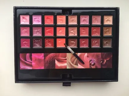 Palette (омрежване) грим Yves Rocher (Ив Roshe) Преглед и Swatch, ilovejars