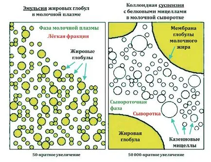Предни и задни мляко 1