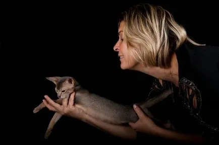 Абисински котки - Петровна