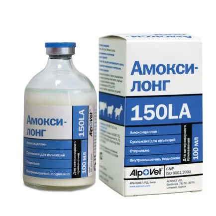 Антибиотици за кучета