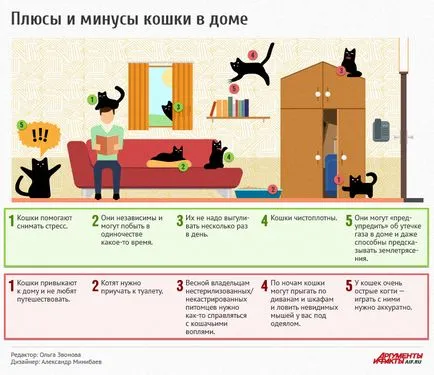 Плюсове и минуси на котка в къщата