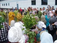 Защо Троица храмове са украсени с много зеленина