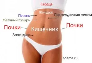 Защо колит стомах
