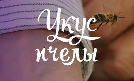 Защо е щъкащите пчелите и как да го предотврати