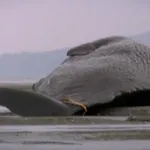 Времето на земята - това зависи от слънцето