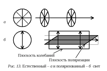 поляризирана светлина