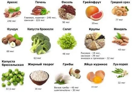 Ползите от фолиева киселина за жени