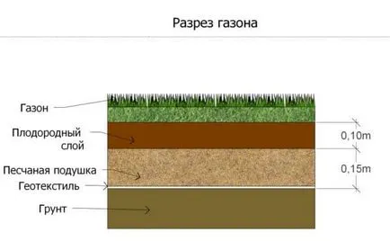 Засаждането на тревата със собствените си ръце в страната
