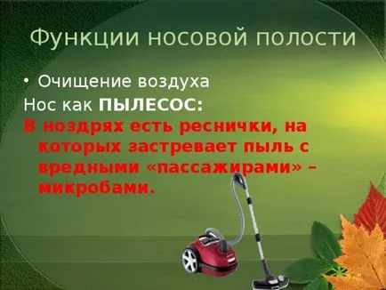 Представянето на урока по целия свят по този въпрос - човешкото тяло
