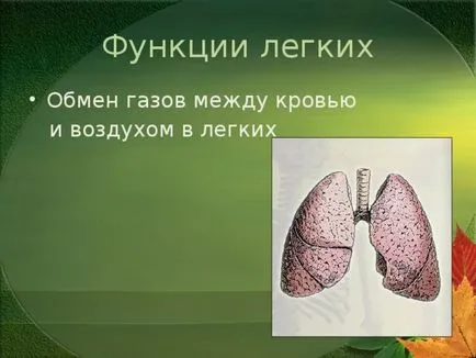 Представянето на урока по целия свят по този въпрос - човешкото тяло