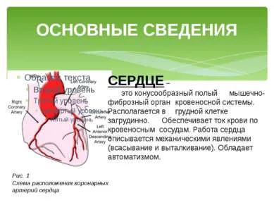 Представяне - превенция на сърдечно-съдови заболявания - свободно изтегляне