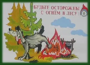 Природа правила на поведение в природата