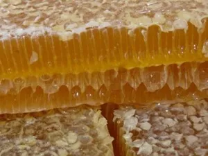 пчелни продукти и тяхното използване от човека, лечебните свойства на меда