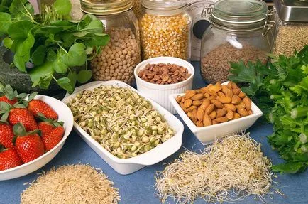 Продукти, съдържащи калций и магнезий